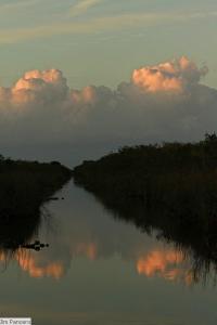 Everglades11